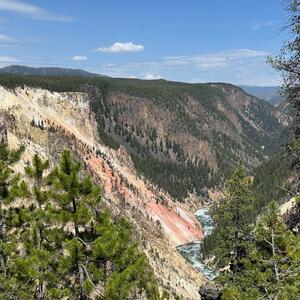 Gallery Photo 170