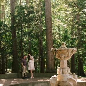 Gallery Photo 47