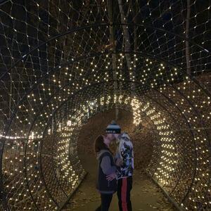 Gallery Photo 17