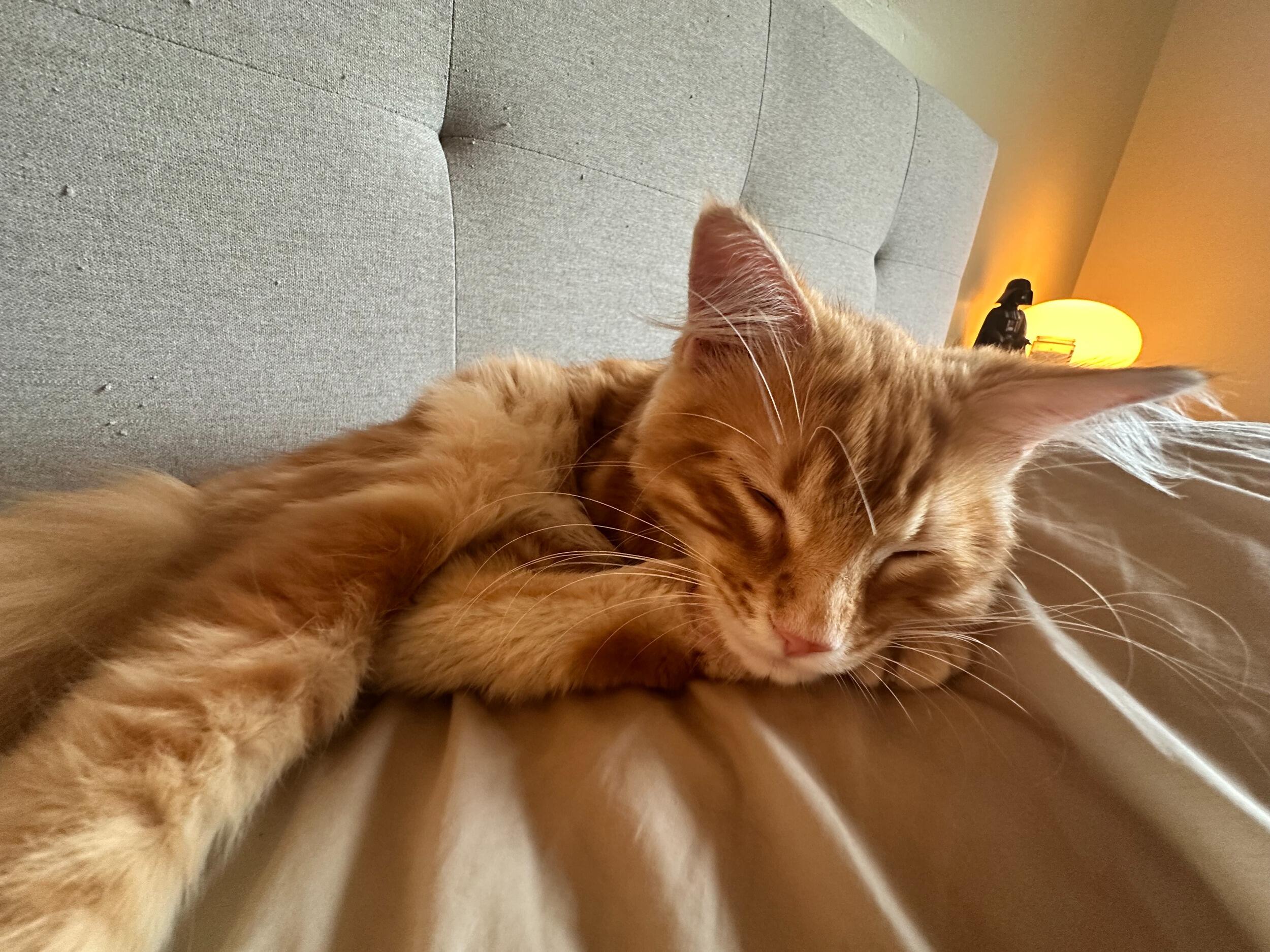 Adopted Odysseus!!