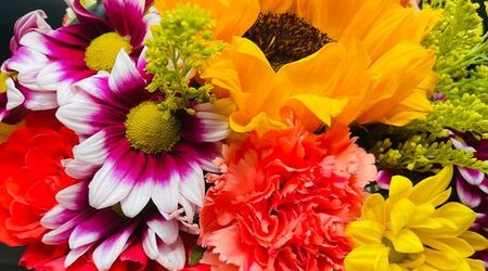 Cynthia S Flowers Easley Sc | Best Flower Site