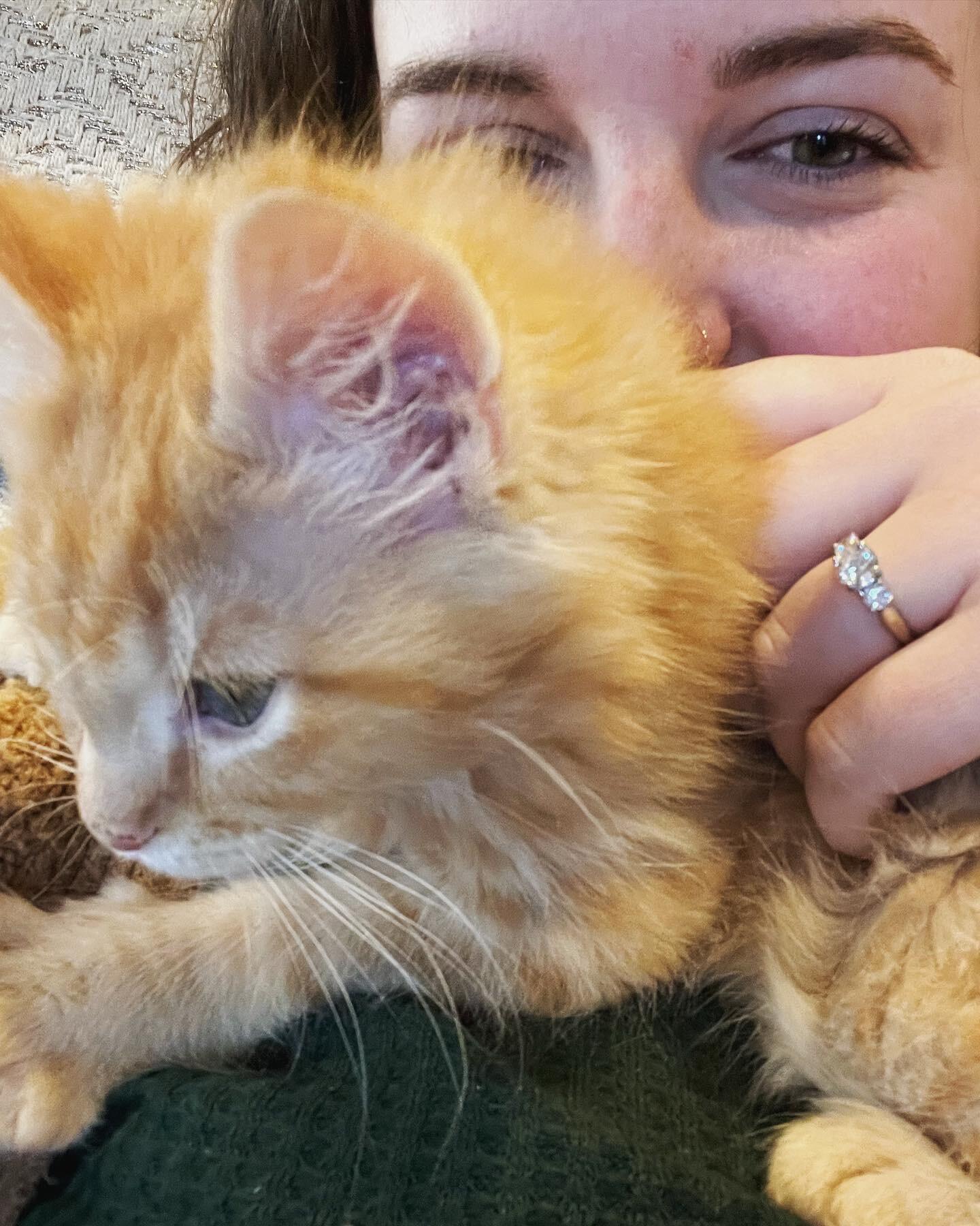 Em and our second new kitty, Beans!