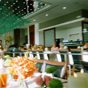 Gallery Photo 111