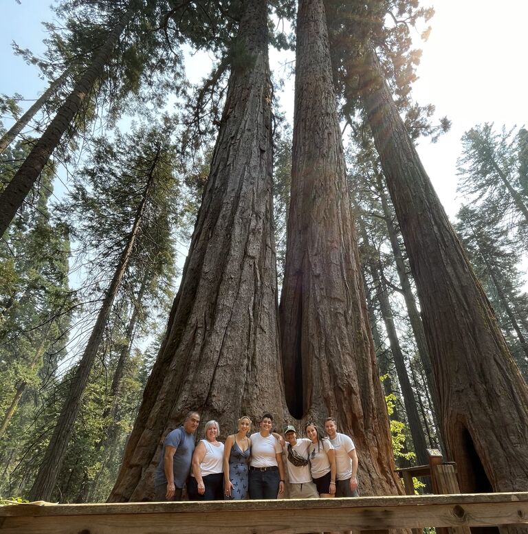 Calaveras Big Trees State Park - Arnold, California