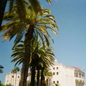 Gallery Photo 198