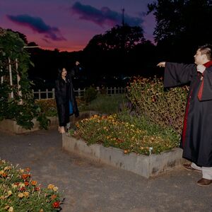 Gallery Photo 27