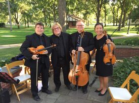 The Continental String Ensemble  - Classical Quartet - Arlington Heights, IL - Hero Gallery 3