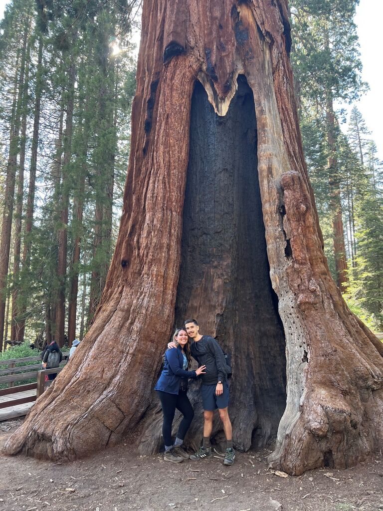 Sequoia National Park! 
