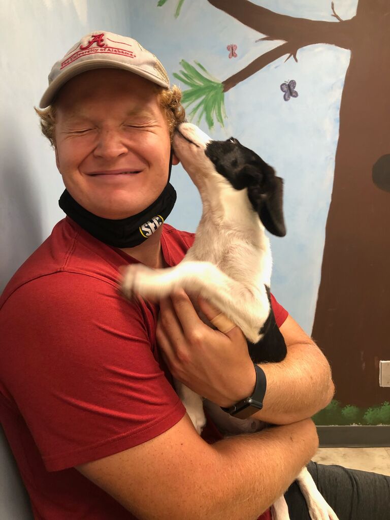 We became dog parents! After a somewhat impulsive decision to visit the Tuscaloosa Metro Animal Shelter, we found our sweet girl, Caliber (Cali). After 2 years, she still keeps us on our toes...