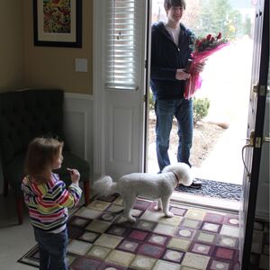 Gallery Photo 13