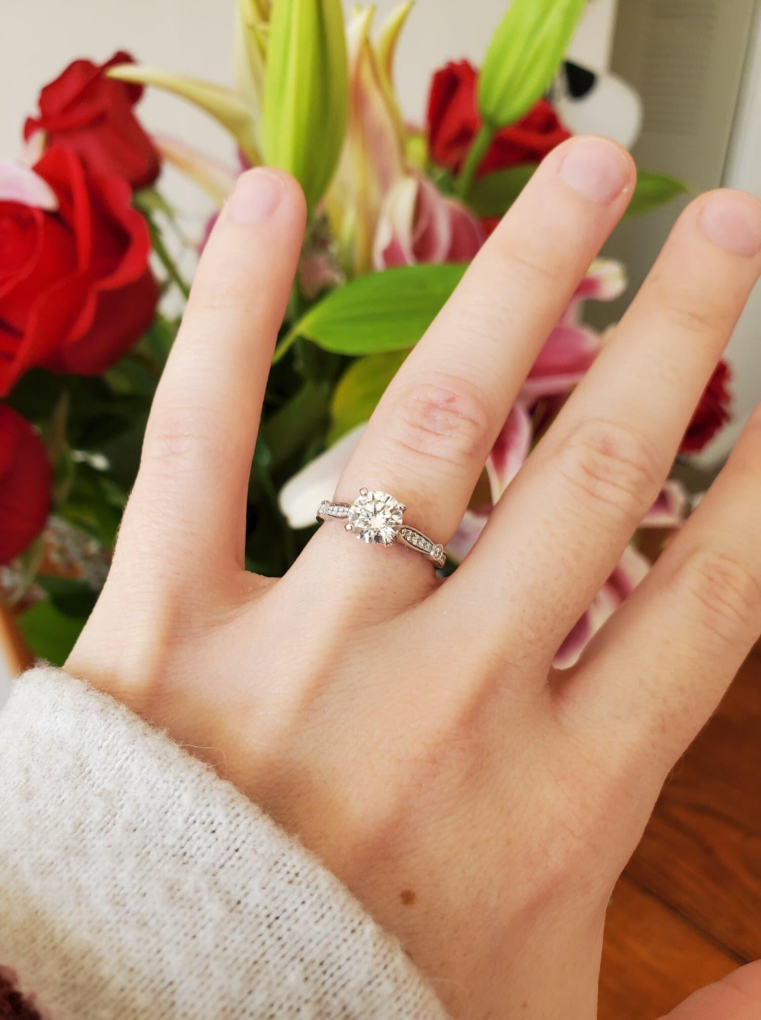 We're engaged! - Madison, WI