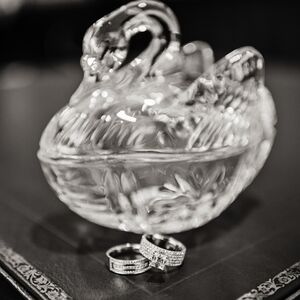 Gallery Photo 9