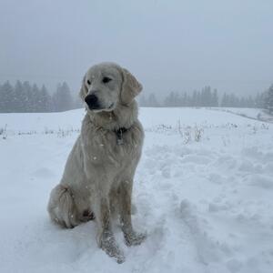 Gallery Photo 21