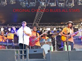 Original Chicago Blues All Stars - Blues Band - Chicago, IL - Hero Gallery 3