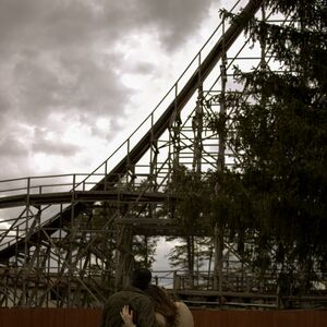 Gallery Photo 20