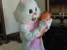 Dawn Does Characters - Easter Bunny - Alexandria, VA - Hero Gallery 2