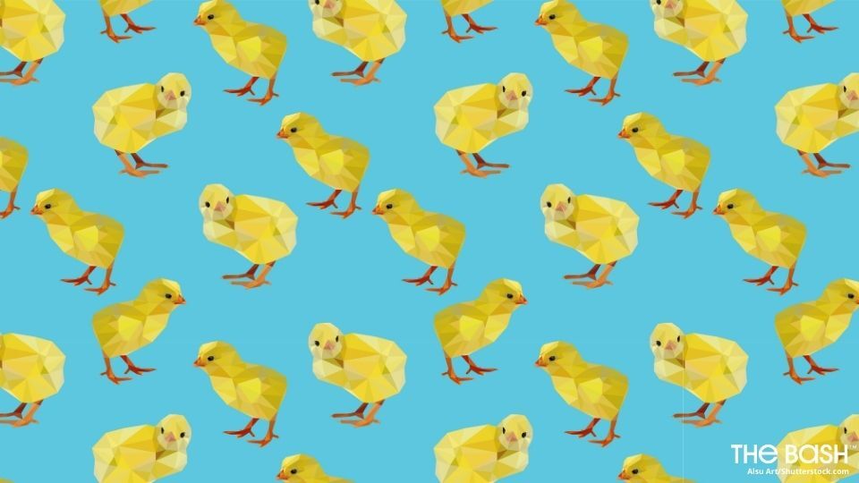 Cute Easter Zoom Background