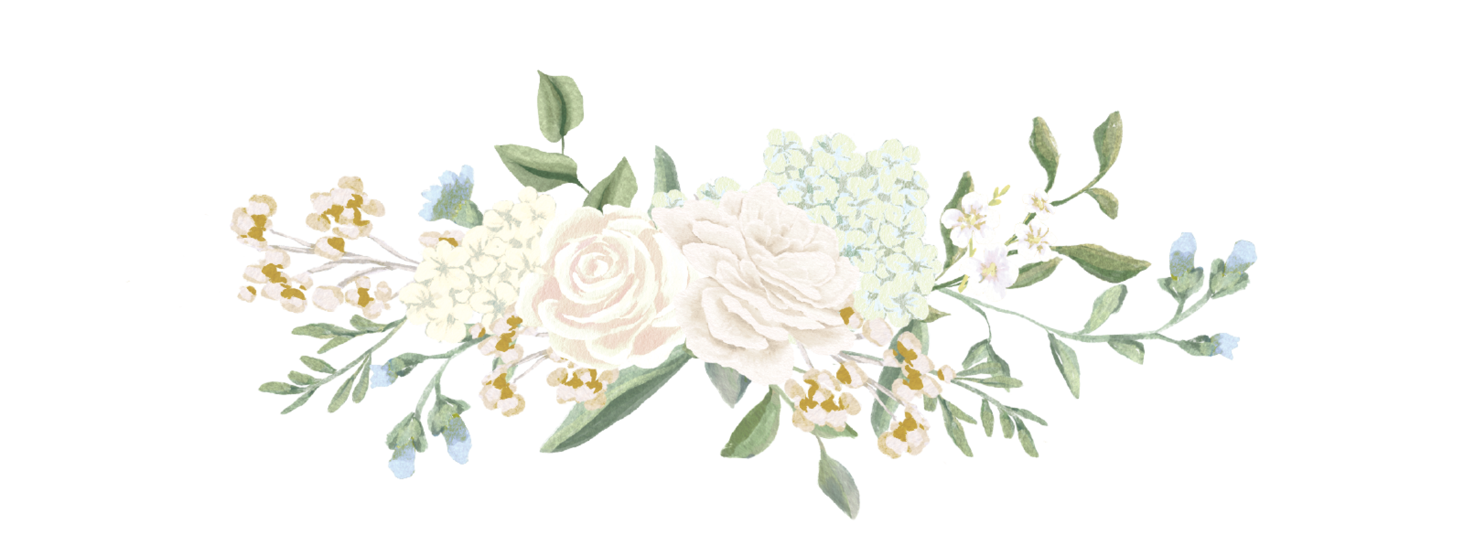 Bottom Theme Image