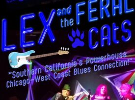 LEX & THE FERAL CATS BLUES - Cover Band - Los Angeles, CA - Hero Gallery 3