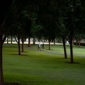 Gallery Photo 13