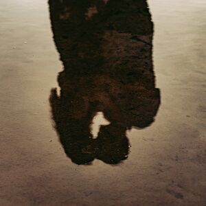 Gallery Photo 17