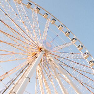 Gallery Photo 33