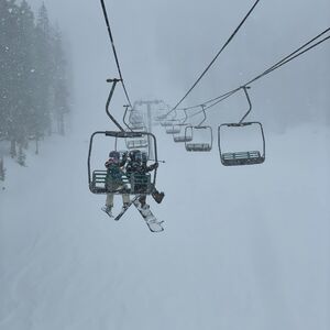 Gallery Photo 31