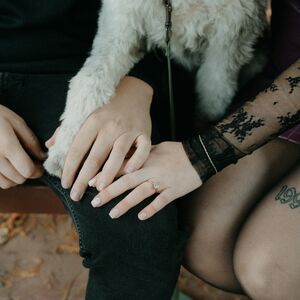 Gallery Photo 41