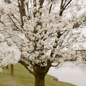 Gallery Photo 37