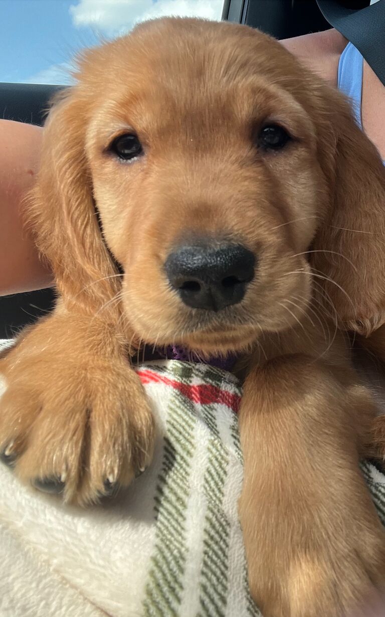 +1 to our family