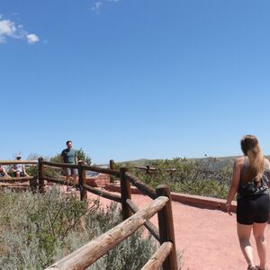 Gallery Photo 6