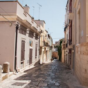 Gallery Photo 117