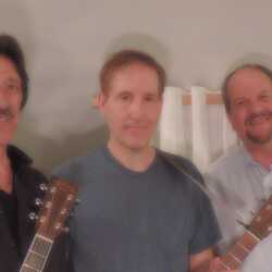 The Strangers - Acoustic Trio, profile image
