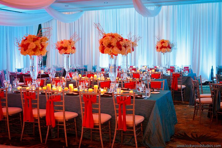 Signature Event Rentals  Rentals  Tampa  FL 