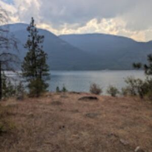 Gallery Photo 2