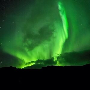 Gallery Photo 29
