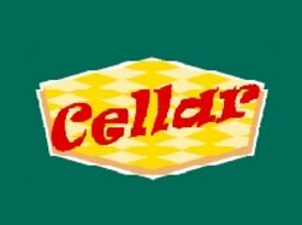Cellar - Cover Band - Homewood, IL - Hero Gallery 4
