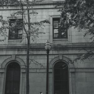 Gallery Photo 12