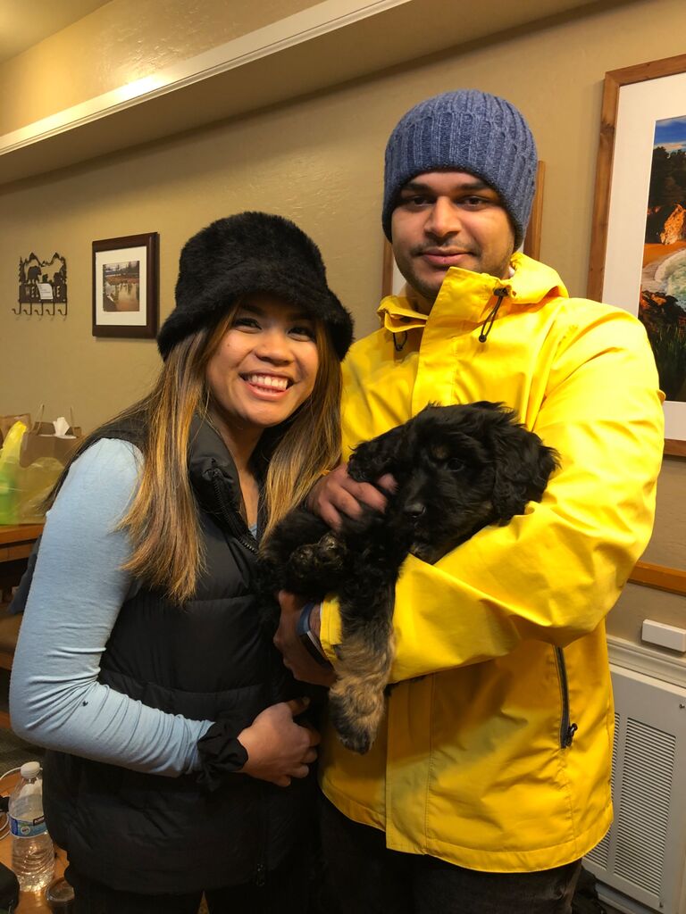 Became a Dog (Mom and Dad), when Dallas came into our lives. 