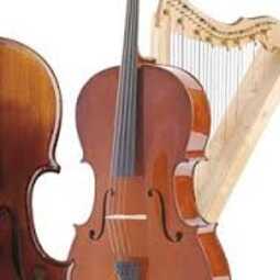 Musicians Unlimited String Quartet, profile image