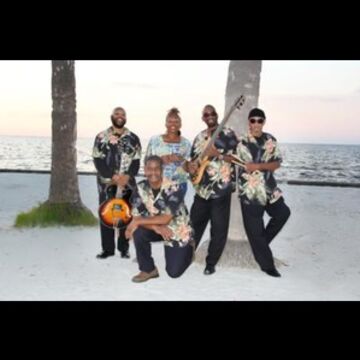 Cinnamon Suns - Caribbean Band - Spring Hill, FL - Hero Main