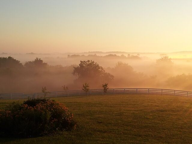 Blue Hill Farm B&B-Wedding Venue | Reception Venues - Waterford, VA