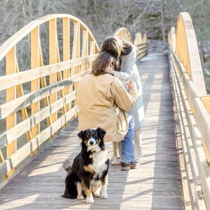 Gallery Photo 8