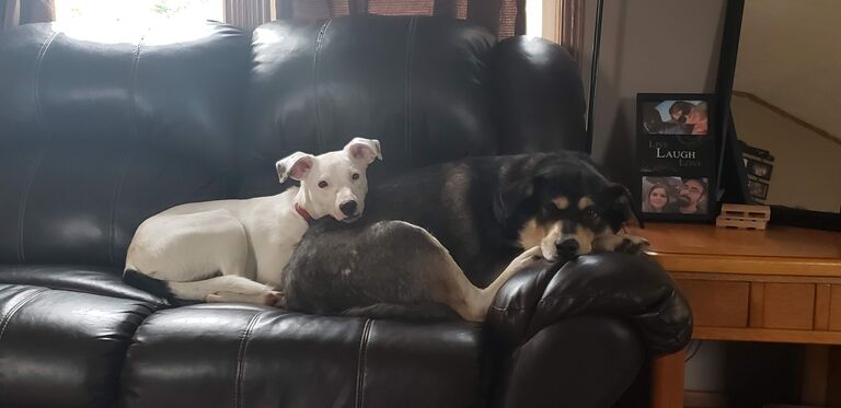 Obviously, they get along great, haha!