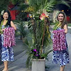 Aloha Dancers, profile image