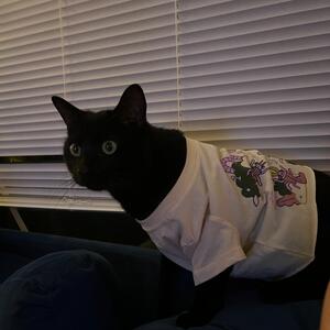 Gallery Photo 26