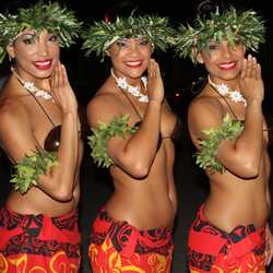 Dreams Of  Polynesia, profile image