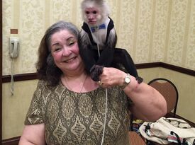 Miki the monkey - Circus Performer - Little Rock, AR - Hero Gallery 4