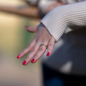 Gallery Photo 7