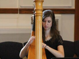 Kimberly Mueller Palazzolo - Harpist - North Liberty, IA - Hero Gallery 1